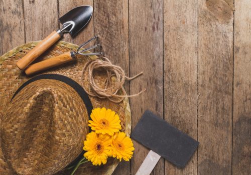 wooden-background-with-gardening-tools-yellow-flowers